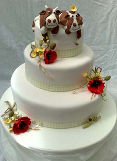 novelty cake designs