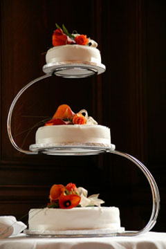 satellite wedding cake