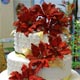 Christmas Wedding Cakes